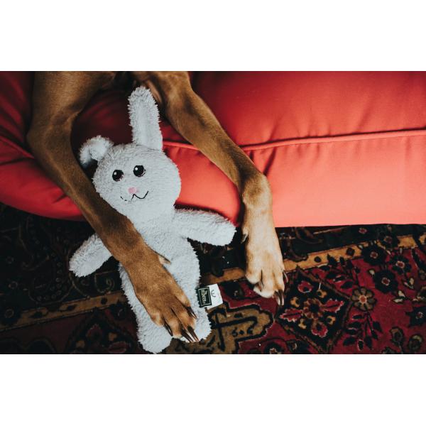 Dog Toy Terni Rabbit - 32 CM