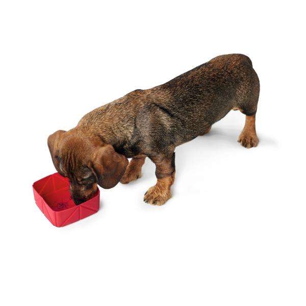 Silicone Fold-Travel Bowl - 590 ML - Red